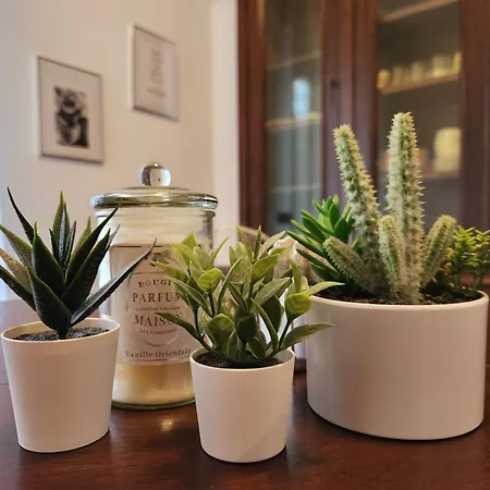 Classy Homes - A Due Passi Dal Mare Apartment